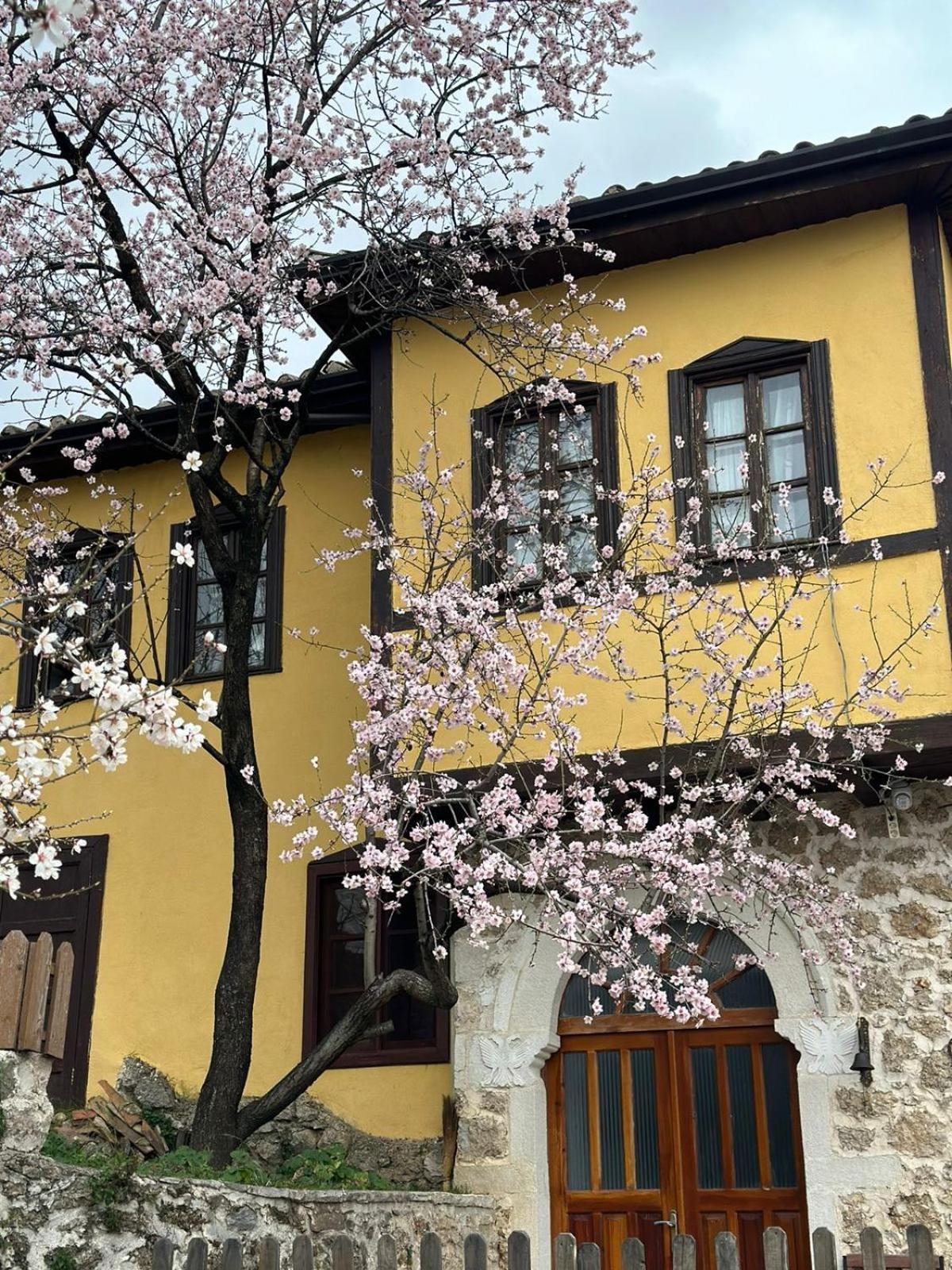 Rooms Nesti Inside Of Castle Круя Экстерьер фото